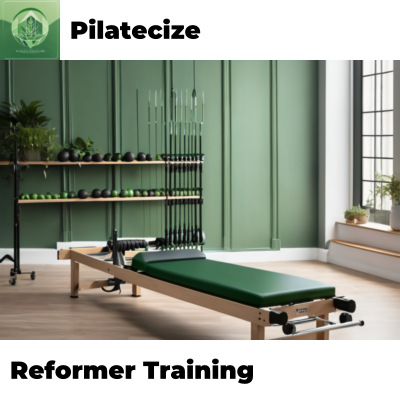 Reformer Training